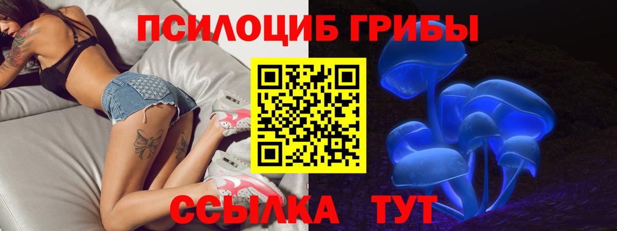 Псилоцибиновые грибы ЛСД  Вход с VPN  Тара  Галлюциногенные грибы GOLDEN TEACHER 